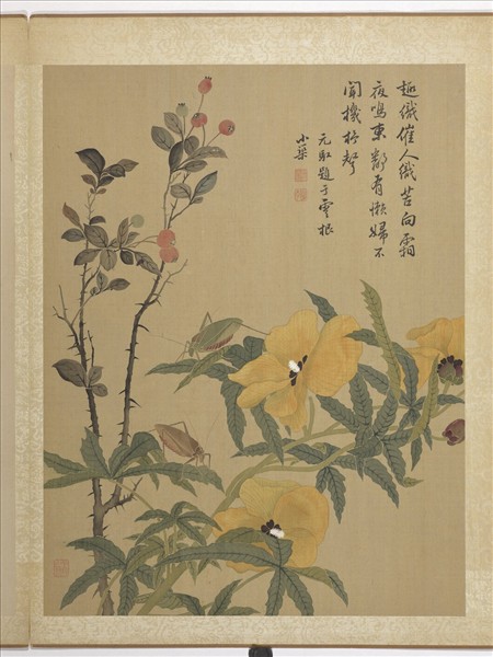 清馬元馭畫花卉　冊　秋葵螽斯