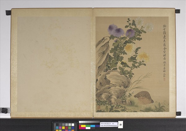 清馬元馭畫花卉　冊　菊花鵪鶉