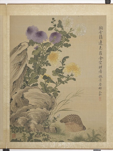 清馬元馭畫花卉　冊　菊花鵪鶉