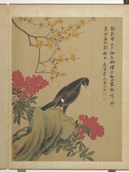 清馬元馭畫花卉　冊　蠟梅八哥