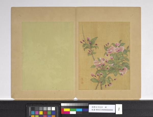 清鄒元斗花卉　冊　木海棠