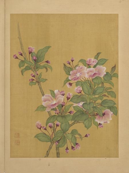 清鄒元斗花卉　冊　木海棠