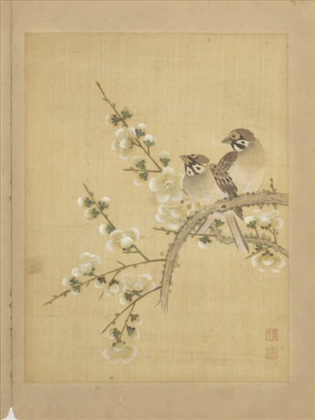 清鄒元斗花卉　冊　梅