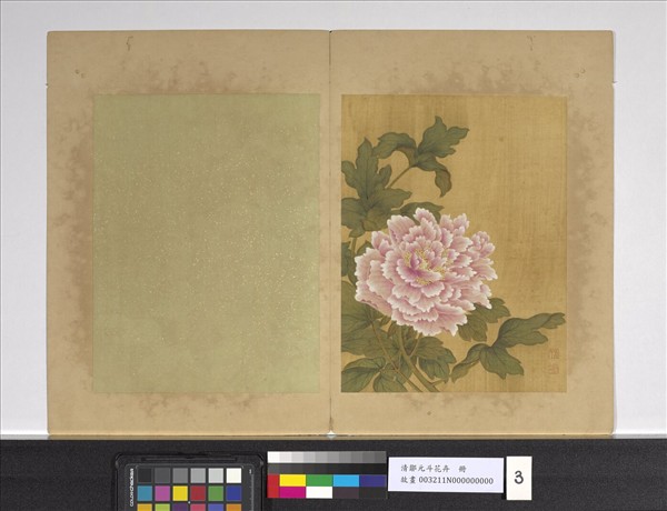 清鄒元斗花卉　冊　牡丹