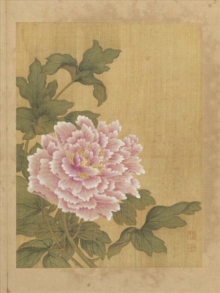 清鄒元斗花卉　冊　牡丹