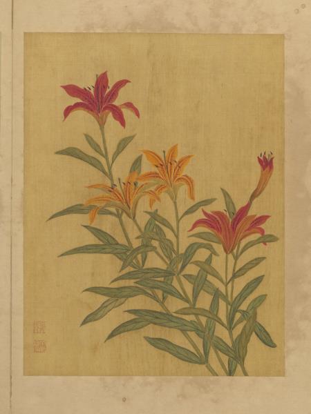 清鄒元斗花卉　冊　姬百合