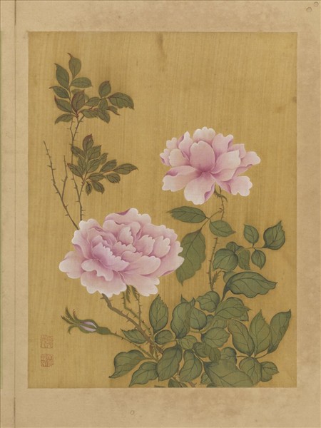 清鄒元斗花卉　冊　月季