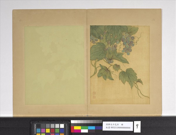 清鄒元斗花卉　冊　葡萄