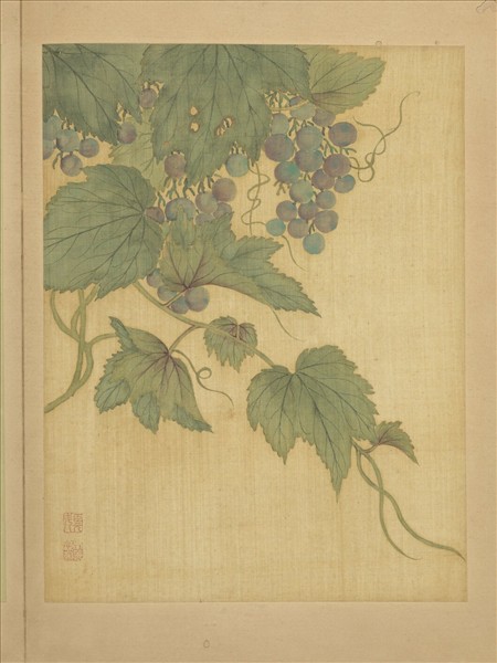 清鄒元斗花卉　冊　葡萄