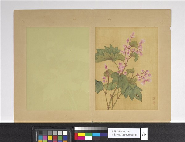 清鄒元斗花卉　冊　秋海棠