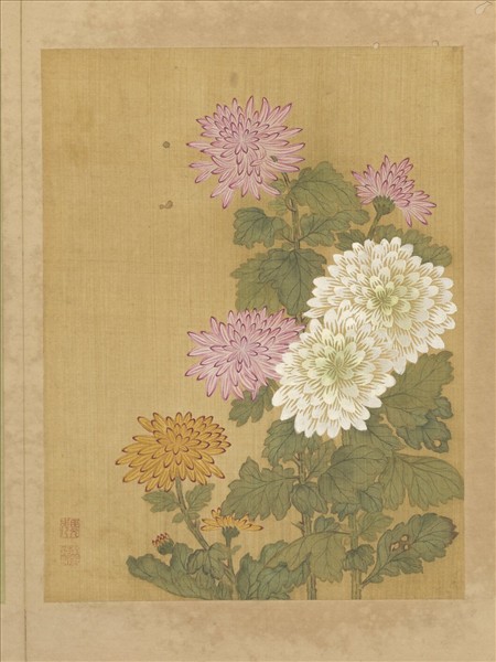 清鄒元斗花卉　冊　菊