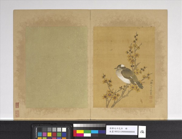 清鄒元斗花卉　冊　蠟梅