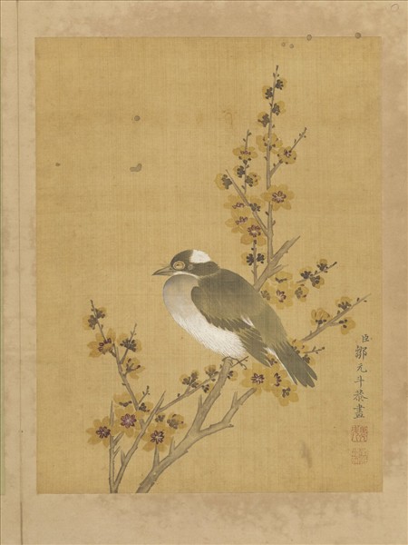 清鄒元斗花卉　冊　蠟梅