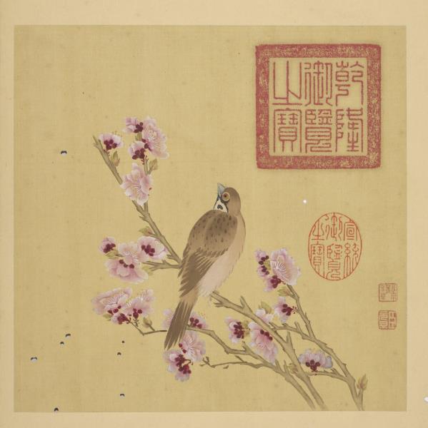 清鄒元斗畫四季花卉　冊　杏花