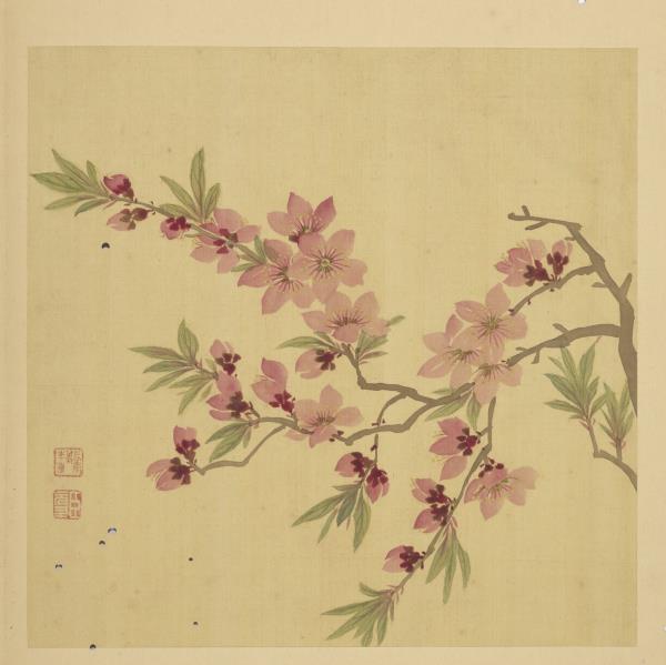 清鄒元斗畫四季花卉　冊　桃花