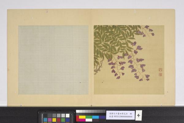 清鄒元斗畫四季花卉　冊　紫藤