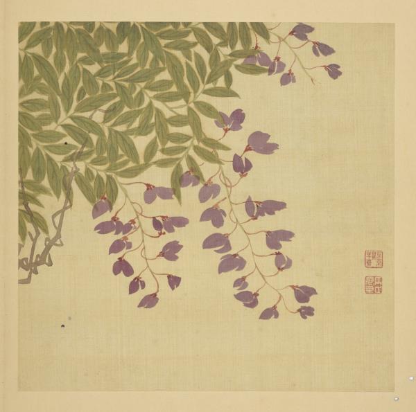 清鄒元斗畫四季花卉　冊　紫藤