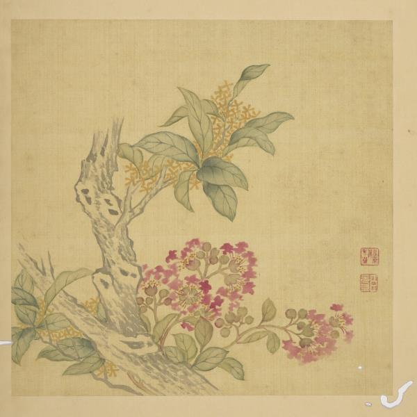 清鄒元斗畫四季花卉　冊　桂花紫薇