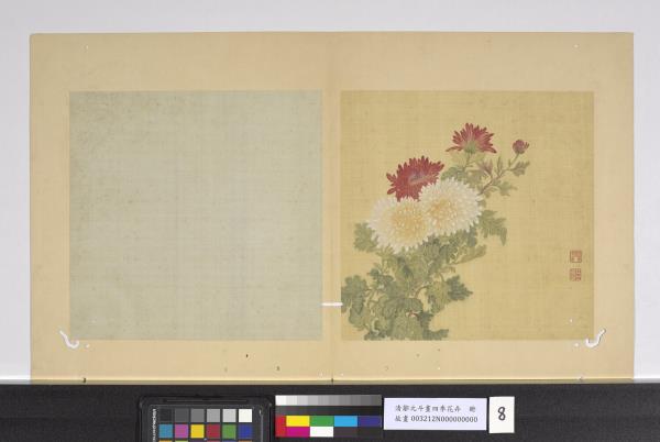 清鄒元斗畫四季花卉　冊　菊