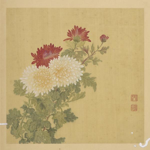 清鄒元斗畫四季花卉　冊　菊