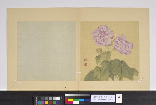 清鄒元斗畫四季花卉　冊　芙蓉