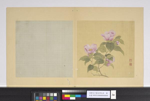 清鄒元斗畫四季花卉　冊　茶花