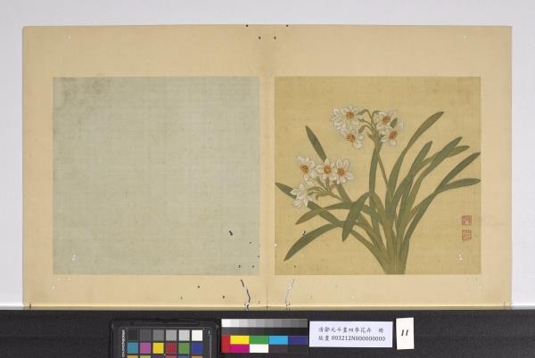 清鄒元斗畫四季花卉　冊　水仙