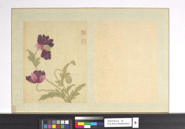 清楊晉畫花鳥　冊　米囊花