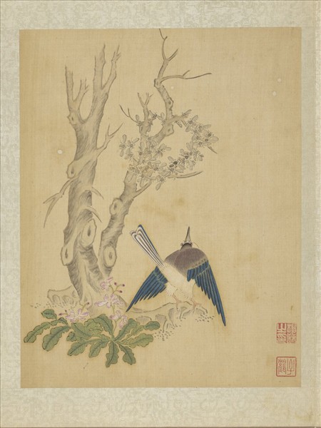 清楊晉畫花鳥　冊　古木蜂窠