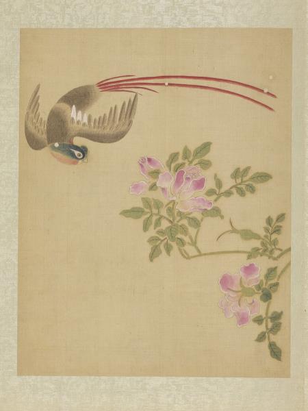 清楊晉畫花鳥　冊　薔薇綬帶鳥