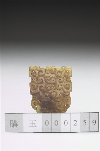 玉龍紋飾片