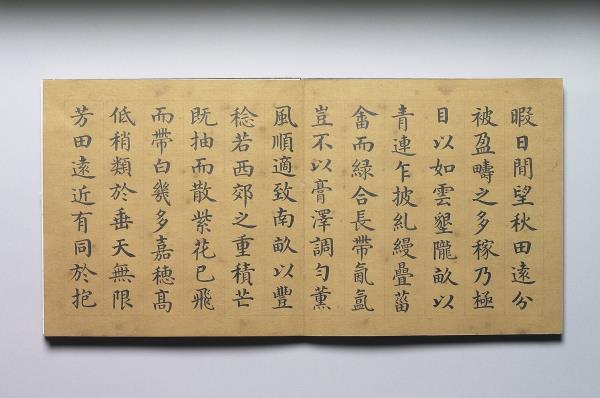 戴衢亨書王棨多稼如雲賦 冊