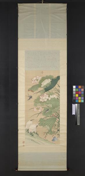 清無名氏畫荷花緙絲　軸