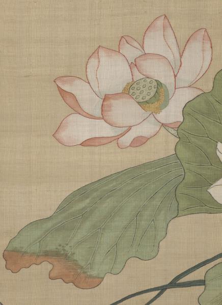 清無名氏畫荷花緙絲　軸