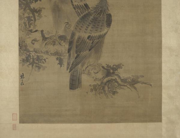 明林良畫鷹　軸