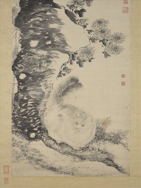 明陶成菊石戲貓圖　軸