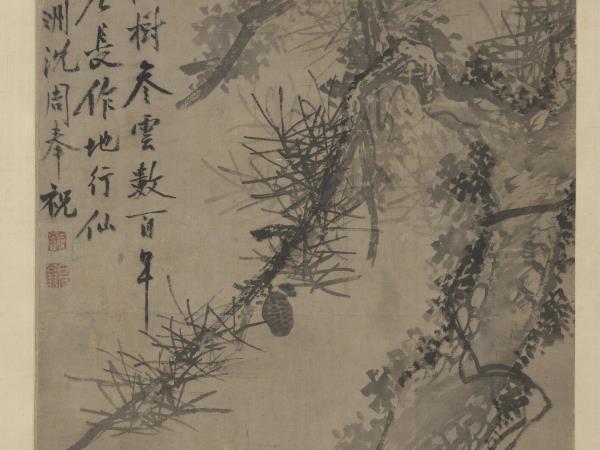 明沈周古松圖　軸