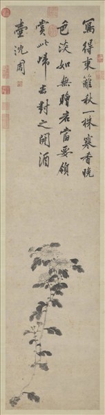明沈周墨菊　軸