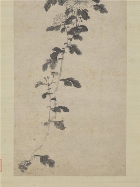 明沈周墨菊　軸