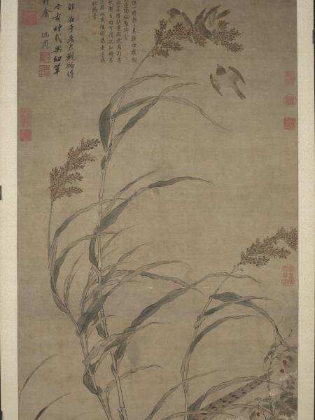 明呂紀畫草花野禽　軸