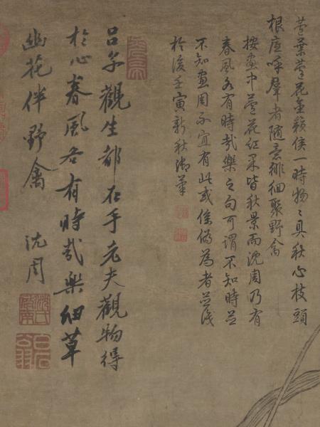 明呂紀畫草花野禽　軸