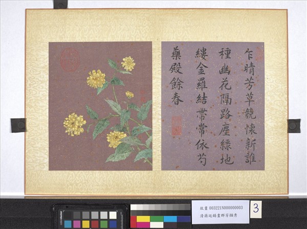 清蔣廷錫畫群芳擷秀　冊　棣棠