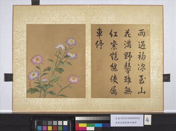 清蔣廷錫畫群芳擷秀　冊　野菊