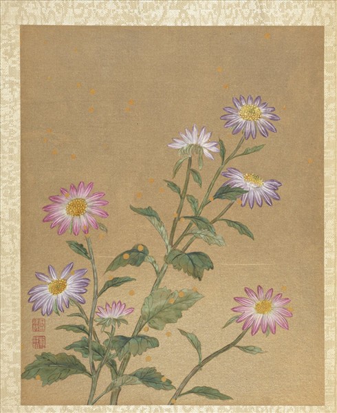 清蔣廷錫畫群芳擷秀　冊　野菊