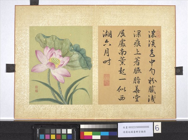 清蔣廷錫畫群芳擷秀　冊　荷花