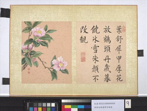 清蔣廷錫畫群芳擷秀　冊　茶花