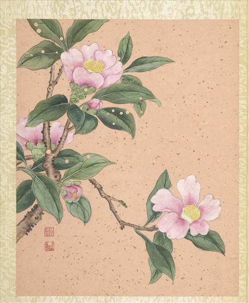 清蔣廷錫畫群芳擷秀　冊　茶花