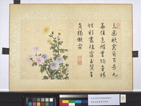 清蔣廷錫畫群芳擷秀　冊　菊花