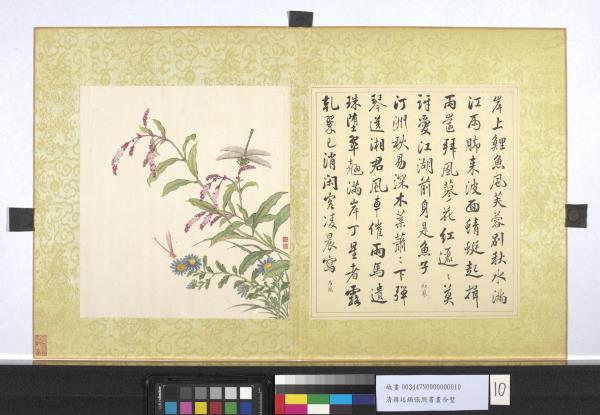 清蔣廷錫張照書畫合璧　冊　紅蓼馬蘭