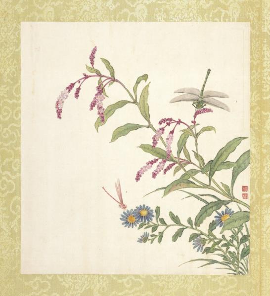 清蔣廷錫張照書畫合璧　冊　紅蓼馬蘭